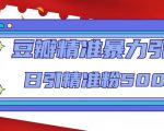 豆瓣精准暴力引流,日引精准粉500+【12课时】-淘金日记