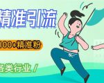 soul精准引流系列课程，一天引流100+精准粉，适合各类行业-淘金日记