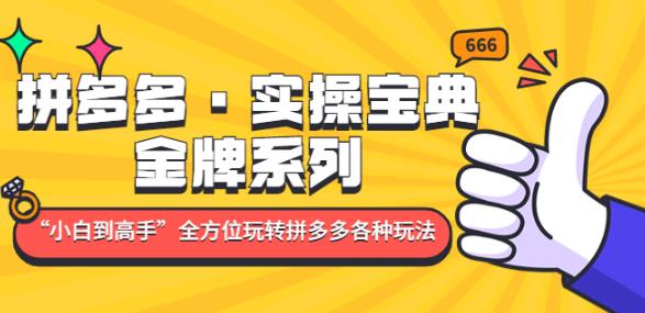 拼多多·实操宝典:金牌系列“小白到高手”带你全方位玩转拼多多各种玩法-淘金日记