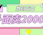 外面卖188抖音最火数码盲盒项目，自己搭建自己玩【全套源码+详细教程】-淘金日记