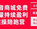 抖音商城搜索持续盈利陪跑成长营,抖音商城搜索从0-1、从1到10的全面解决方案-淘金日记