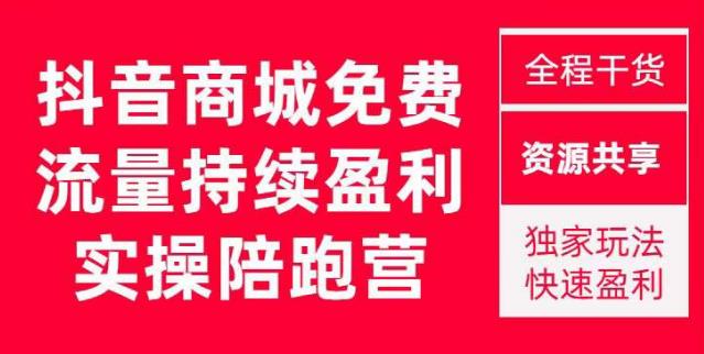 抖音商城搜索持续盈利陪跑成长营,抖音商城搜索从0-1、从1到10的全面解决方案-淘金日记