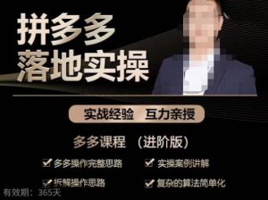 拼多多实战篇·落地实操:多多操作完整思路+实操案例讲解+拆解操作思路+复杂的算法简单化-淘金日记