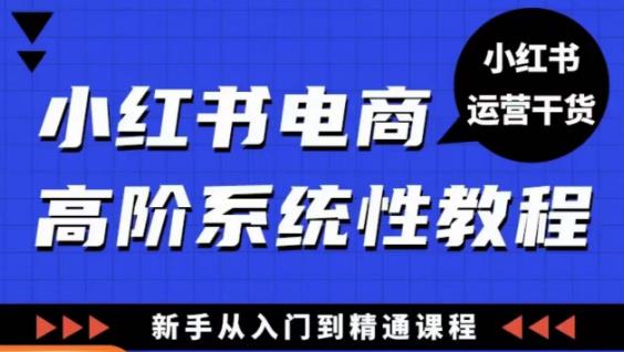 小红书电商高阶系统教程,新手从入门到精通系统课-淘金日记
