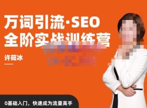 许茹冰·万词引流-SEO全阶实战训练营,0基础入门,快速成为流量高手-淘金日记
