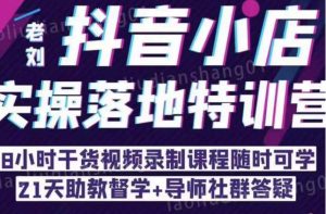 抖音小店实操落地特训营:抖音小店无货源精细化运营,抖店商品卡流量(22节)-淘金日记