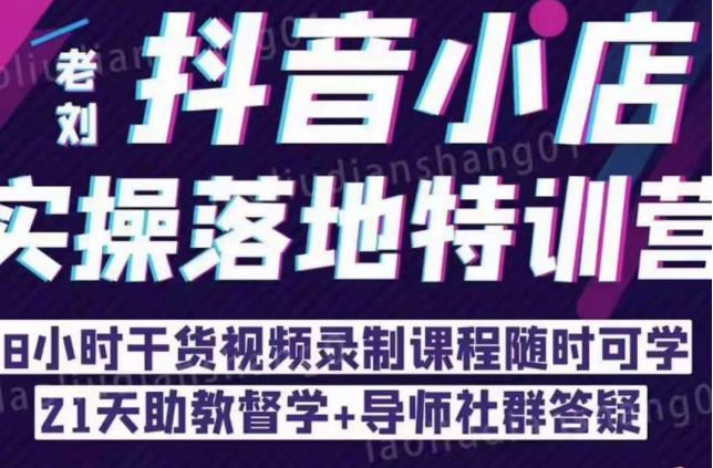 抖音小店实操落地特训营:抖音小店无货源精细化运营,抖店商品卡流量(22节)-淘金日记