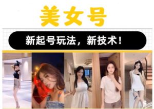 2023抖音快手短视频美女号课程制作玩法教程，美女号搬运新起号玩法，新技术（素材+教程）-淘金日记