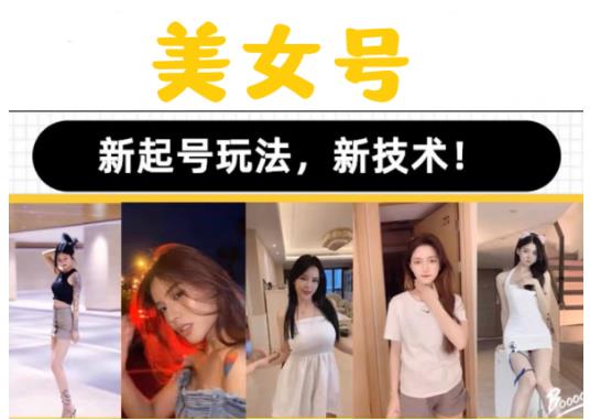 2023抖音快手短视频美女号课程制作玩法教程，美女号搬运新起号玩法，新技术（素材+教程）-淘金日记