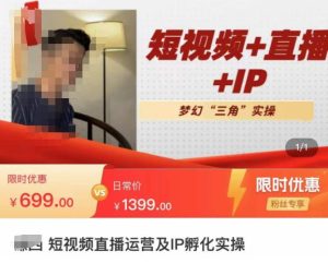 谦四·短视频直播运营及IP孵化实操,80节干货实操分享-淘金日记