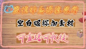 微信动态昵称设置方法，可抖音直播引流，日赚上百【详细视频教程+素材】-淘金日记