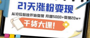 21天精准涨粉变现干货大课:从10位粉丝开始变现月增5000+变现20w+-淘金日记