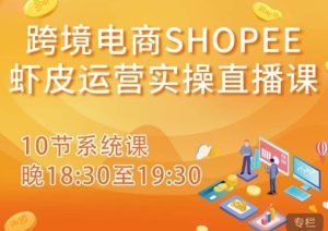跨境电商Shopee虾皮运营实操直播课，从零开始学，入门到精通（10节系统课）-淘金日记