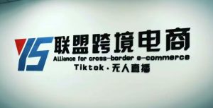 YS联盟·Tiktok无人直播,不出镜不剪辑不拍摄不发货无售后的跨境短视频躺赚玩法-淘金日记