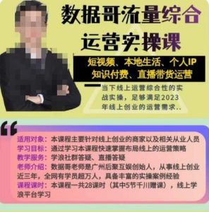 数据哥流量综合运营实操课:短视频、本地生活、个人IP知识付费、直播带货运营-淘金日记