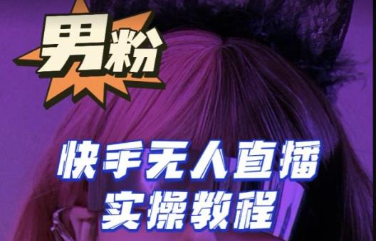 【男粉落地项目】零基础玩转男粉快手无人直播月入3w+,2023快手无人直播实操教程-淘金日记