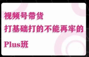 大播汇·视频号带货Puls班，视频号底层逻辑，起号自然流鱼塘等玩法-淘金日记