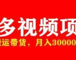 多多带货视频快速50爆款拿带货资格,搬运带货,月入30000【全套脚本+详细玩法】-淘金日记
