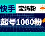 抖音快手三天起号涨粉1000宝妈粉丝的核心方法【详细玩法教程】-淘金日记