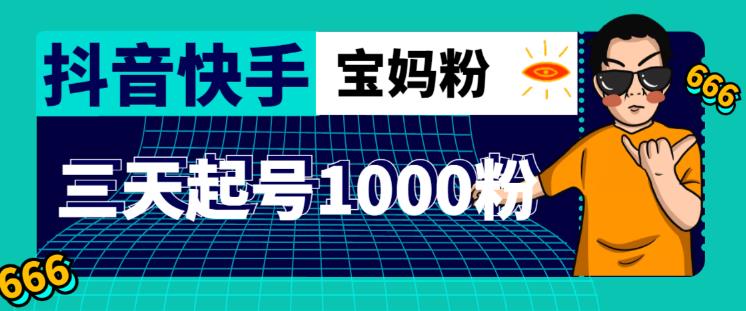 抖音快手三天起号涨粉1000宝妈粉丝的核心方法【详细玩法教程】-淘金日记