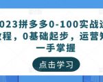 2023拼多多0-100实战运营教程，0基础起步，运营知识一手掌握-淘金日记