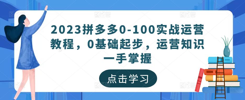 2023拼多多0-100实战运营教程,0基础起步,运营知识一手掌握-淘金日记