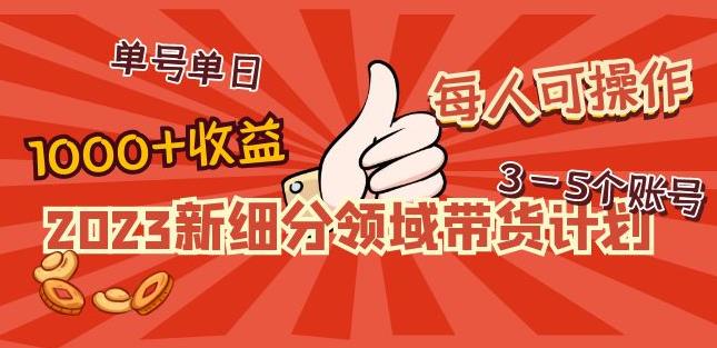 2023新细分领域带货计划：单号单日1000+收益不难，每人可操作3-5个账号-淘金日记
