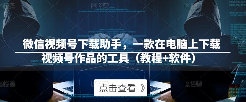 微信视频号下载助手，一款在电脑上下载视频号作品的工具（教程+软件）-淘金日记