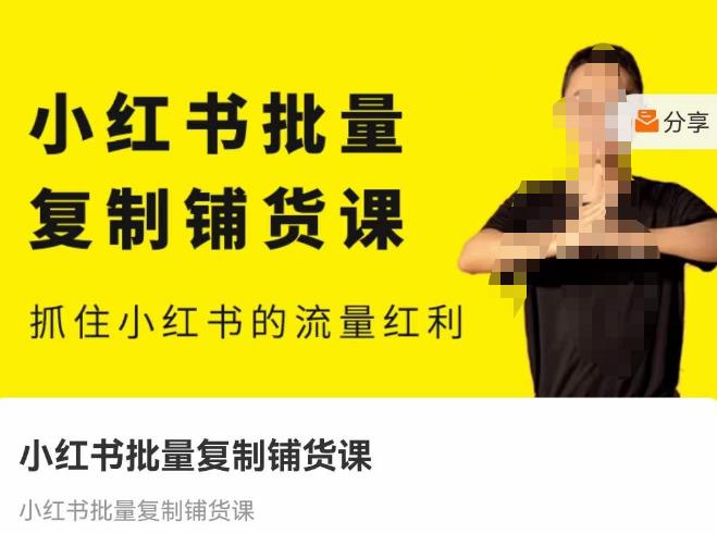 张宾·小红书批量复制铺货课,抓住小红书的流量红利 (更新2023年2月)-淘金日记