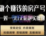 刘广标·同城房产号线上陪跑课,拍摄、剪辑、写文案、直播,做一个具有潜力价值的房产号-淘金日记