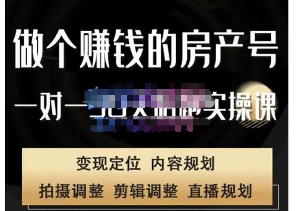 刘广标·同城房产号线上陪跑课,拍摄、剪辑、写文案、直播,做一个具有潜力价值的房产号-淘金日记