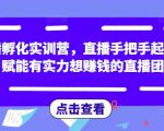 直播孵化实训营,直播手把手起号,赋能有实力想赚钱的直播团队-淘金日记