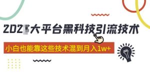 大平台黑科技引流技术，小白也能靠这些技术混到月入1w+(2022年的课程）-淘金日记