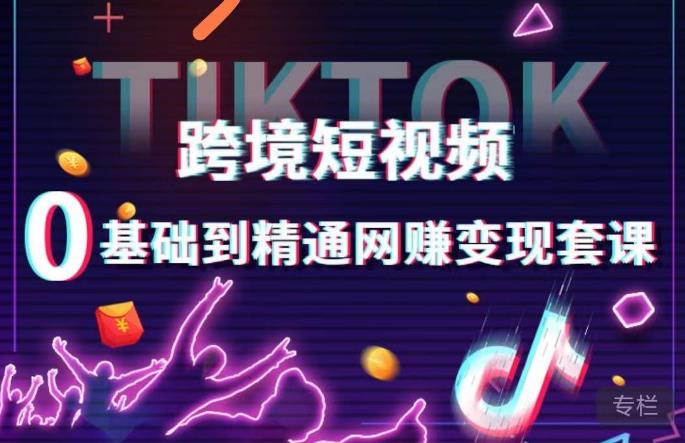 跨境短视频TIKTOK 0基础到精通网赚变现套课，跨境短视频独立站带货变现技巧-淘金日记