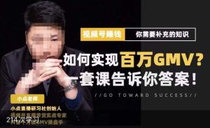 视频号变现进阶课，视频号六大变现模式，对平台的各项功能详细讲解，让你快速选择赛道-淘金日记