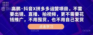 高鹏·抖音X拼多多运营项目，不需要出镜、直播、拍视频，不需要花钱推广，不用囤货，不用自己发货-淘金日记