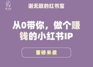 谢无敌·小红书运营大宝典,从0带你做个赚钱的小红书IP-淘金日记
