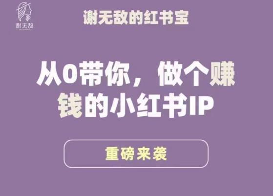 谢无敌·小红书运营大宝典,从0带你做个赚钱的小红书IP-淘金日记