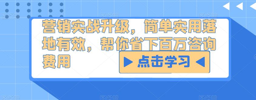 营销实战升级,简单实用落地有效,帮你省下百万咨询费用-淘金日记