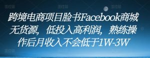 跨境电商项目脸书Facebook商城无货源,低投入高利润,熟练操作后月收入不会低于1W-3W-淘金日记