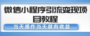 微信小程序引流变现项目教程，当天操作当天就有收益，变现不再是难事-淘金日记