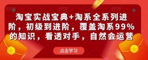 淘宝实战宝典+淘系全系列进阶,初级到进阶,覆盖淘系99%的知识,看透对手,自然会运营-淘金日记