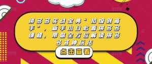 拼多多实战宝典“初级到高手”,新手小白必看拼多多课程,带你全方位解读拼多多各种玩法-淘金日记