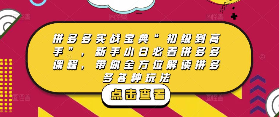 拼多多实战宝典“初级到高手”,新手小白必看拼多多课程,带你全方位解读拼多多各种玩法-淘金日记