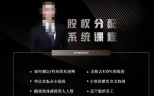 韩老师聊美业-美业股权分配系统课程，如何制定约束股东规则+老板占100%的股份+单店老板占小股份等-淘金日记