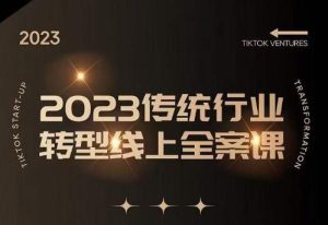 数据哥2023传统行业转型线上全案课,2023年传统行业如何转型线上,线上创业/传统转型避坑宝典-淘金日记