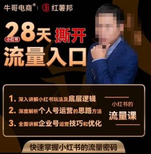 牛哥电商红薯邦28天撕开小红书流量入口,小红书运营系列课,快速掌握小红书的流量密码-淘金日记