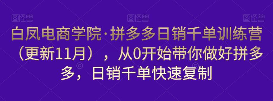 白凤电商学院·拼多多日销千单训练营,从0开始带你做好拼多多,日销千单快速复制(更新知2023年3月)-淘金日记