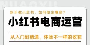 红商学院·小红书电商运营课,新手做小红书如何快速做出爆款,从入门到精通,体验不一样的收货-淘金日记