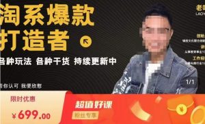 锋投老叶全店动销,淘系干货汇总,各种玩法,淘系爆款打造者-淘金日记